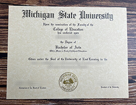 Get Michigan State University fake diploma.