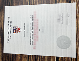 Purchase National University of Singapore fake diploma.
