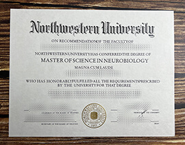 Make Northwestern University diploma.