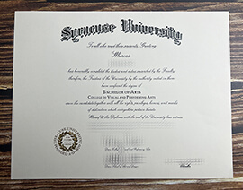 Make Syracuse University diploma.