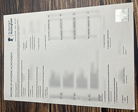 Make University of Nottingham transcript.