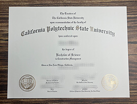 Make California Polytechnic State University diploma.