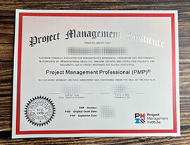 Make Project Management Professional diploma.