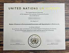 Sample map of the United Nations University