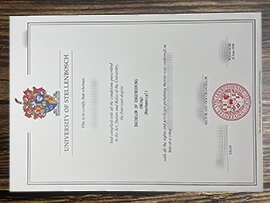 Fake University of Stellenbosch diploma.