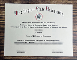 Make Washington State University diploma.