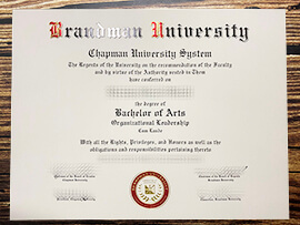 Purchase Brandman University fake diploma.