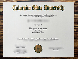 Make Colorado State University diploma.