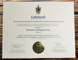 Make Lakehead University diploma.