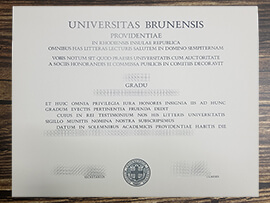 Get Universitas Brunensis fake diploma.