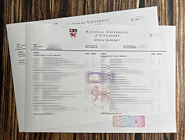 Buy NUS fake transcript, Make National University of Singapore transcript.