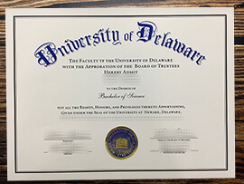 Make University of Delaware diploma.