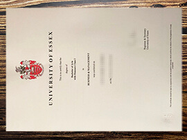 Purchase University of Essex fake diploma.