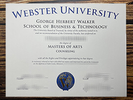 Make Webster University degree online.