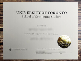 Make University of Toronto School of Continuing Studies diploma.