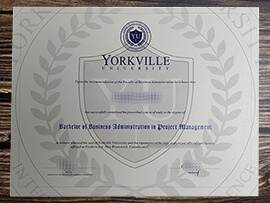 Make Yorkville University diploma online.