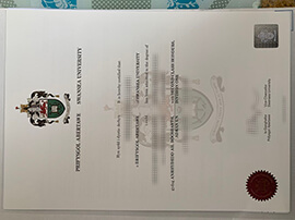 Fake Swansea University diploma online.