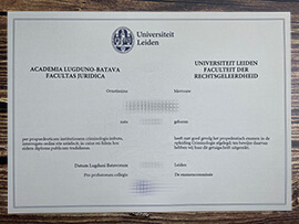 Get Universiteit Leiden fake diploma online.