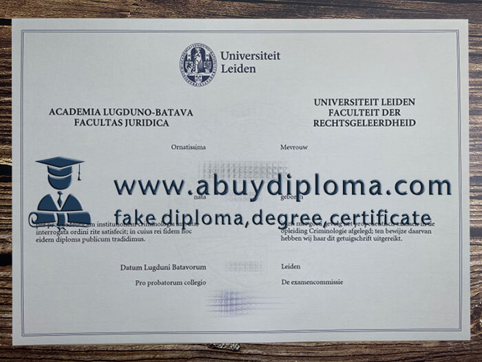 Buy Universiteit Leiden fake diploma online.