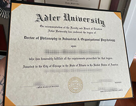 Obtain Adler University fake diploma.