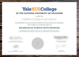 Get Yale NUS College fake diploma online.