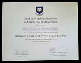 Make Yale School of the Environment diploma, Fake YSE degree online.